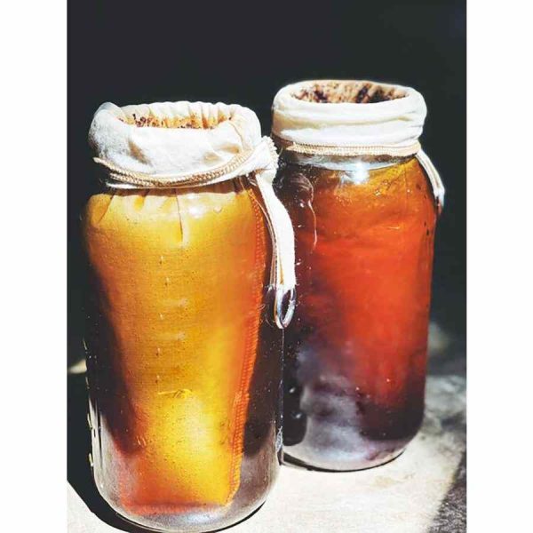 Kit CoffeeSock DIY ColdBrew 64 onças / 2 litros - Faça café gelado em casa com estilo e qualidade. Aproveite a versatilidade deste kit completo.