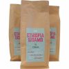 Creme Sidamo da Etiópia - Desfrute do melhor café arábica da Etiópia em sua casa, suave e aromático. Aproveite a qualidade excepcional online!