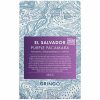 Café em grãos Gringo Nordic El Salvador Roxo Pacamara 250g - Aroma intenso e sabor requintado para os apreciadores de café. Compre online!