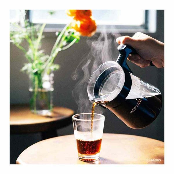 Servidor de vidro Hario Pegasus para café - Elegância e qualidade para a sua experiência de café. Compre online agora!