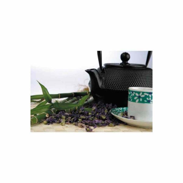 Bule de Ferro Fundido Ibili 700 ml - Elegância e qualidade para um café perfeito. Compre já este bule de ferro durável e resistente!