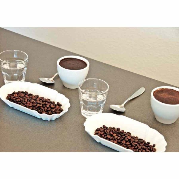 Conjunto de bandeja premium para copos de café JoeFrex com 12 peças - Acessório elegante para servir café com estilo.