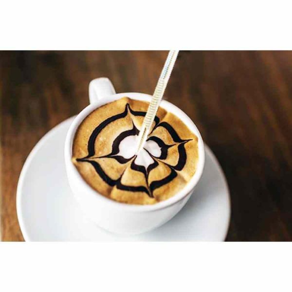 Caneta de agulha JoeFrex Latte Art - Ferramenta premium para decoração de café de alta qualidade. Ideal para desenhar padrões personalizados. Compra online.