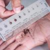 Base da peneira de parafuso para um filtragem eficiente. Compre online e garanta qualidade!