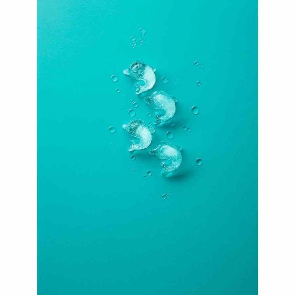 Bandeja de cubos de gelo Lékué Dolphin turquesa, prática e resistente, ideal para congelar e armazenar gelo. Mantenha as bebidas frias em grande estilo!