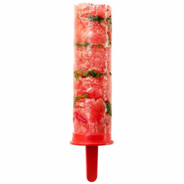 Molde de frutas congeladas Lékué - Ferramenta de cozinha prática e inovadora para congelar frutas frescas. Ideal para sobremesas saudáveis.