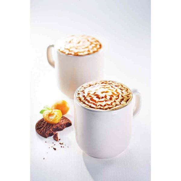 Maison Routin 1883 Molho de Caramelo 500 ml - Delicie-se com este xarope de caramelo premium para bebidas e sobremesas. Compre online agora!