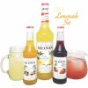 Kit Limonada Monin 700 ml e 2 xaropes 250 ml, ideal para cocktails refrescantes. Uma explosão de sabores premium para o seu verão!