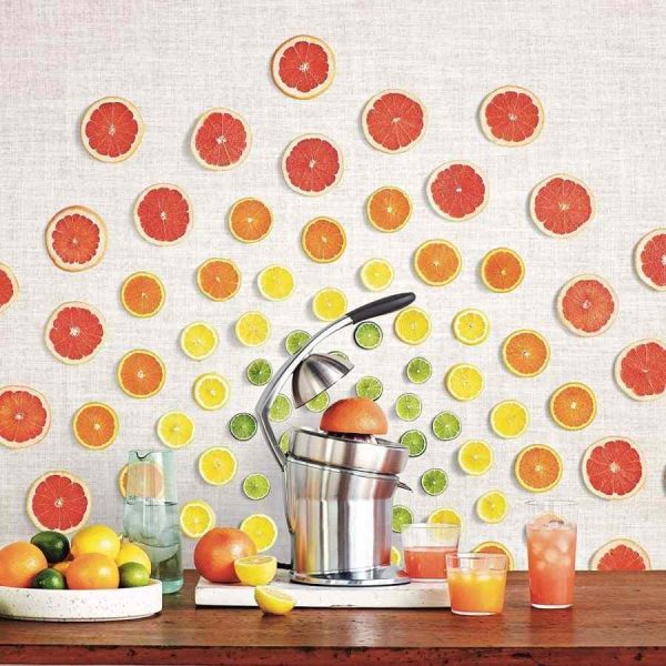 Espremedor de Citrinos Sage The Citrus Press Pro - A melhor forma de extrair sumo fresco em casa. Potente e eficiente! Compre online.