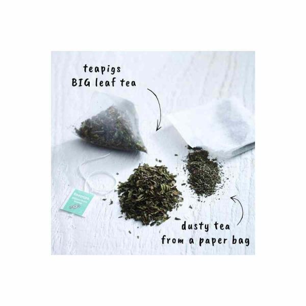 Infusão refrescante de hortelã-pimenta Teapigs | Chá de qualidade premium para comprar online. Aproveite a frescura desta deliciosa infusão de chá de hortelã-pimenta.