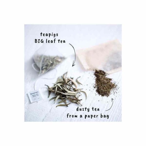 Chá Branco Teapigs Silver Tips em Saquinhos de Chá de Luxo - 15 Unidades para Momentos de Relaxamento e Sofisticação. Compre Online!